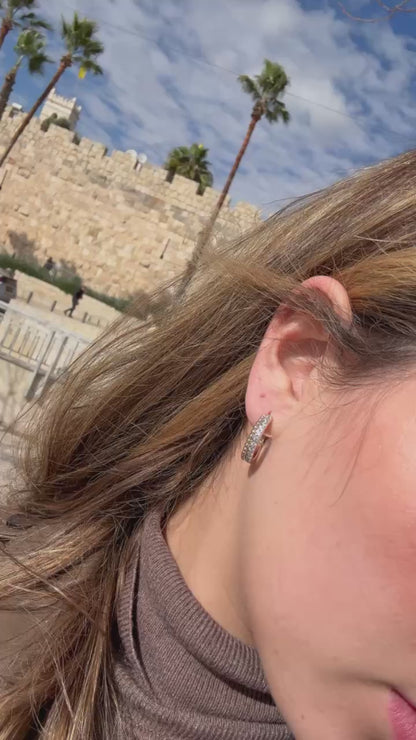 Luxe Hoops